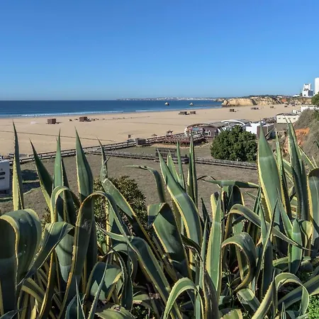 Flh Da Rocha Spacious Flat 포티마오